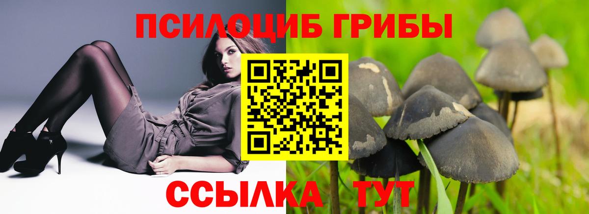 Галлюциногенные грибы MAGIC MUSHROOMS Ялуторовск
